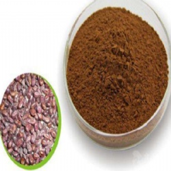 Grape Seed Extract