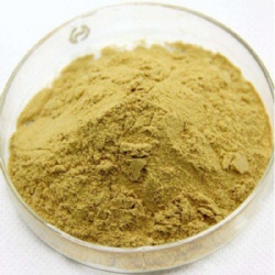 Curcumin